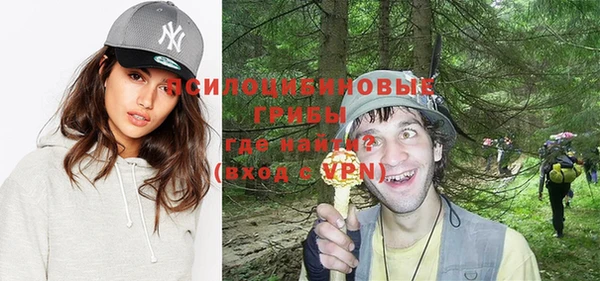 ПСИЛОЦИБИНОВЫЕ ГРИБЫ Заволжье