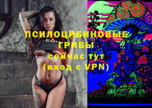 ПСИЛОЦИБИНОВЫЕ ГРИБЫ Заволжье