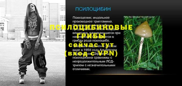 тгк Заводоуковск