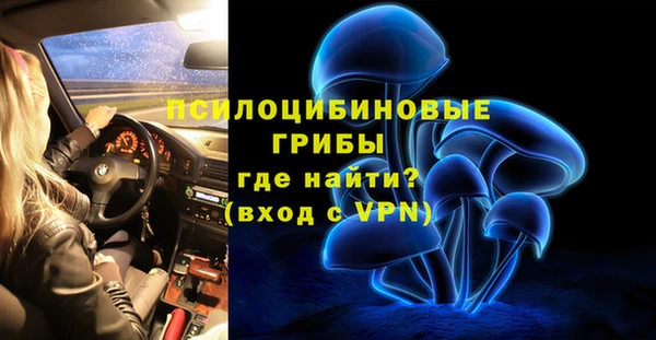 ПСИЛОЦИБИНОВЫЕ ГРИБЫ Заволжье
