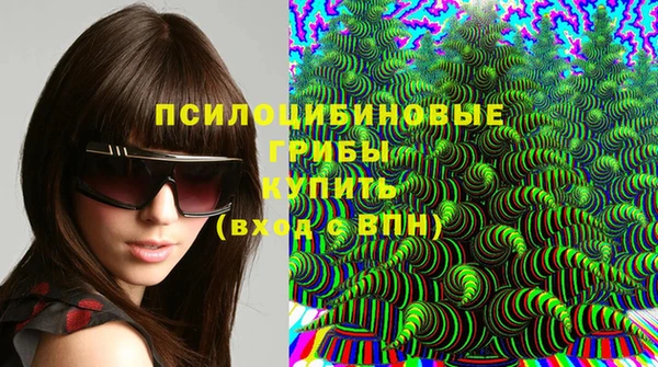 тгк Заводоуковск