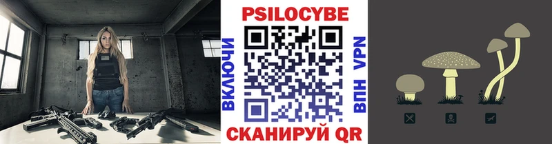 Псилоцибиновые грибы Psilocybine cubensis  Воронеж 