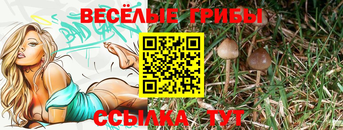 где купить   Воронеж  Галлюциногенные грибы Magic Shrooms  Псилоцибиновые грибы Magic Shrooms 