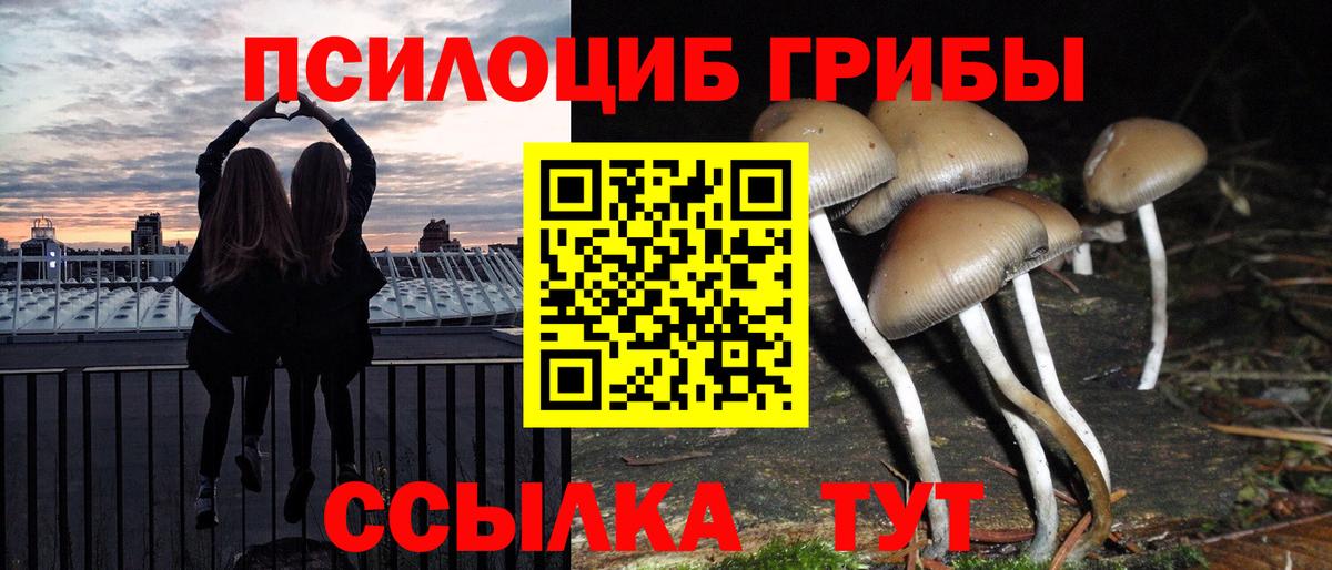 Псилоцибиновые грибы MAGIC MUSHROOMS  Вход с VPN  Галлюциногенные грибы Psilocybe  Воронеж 