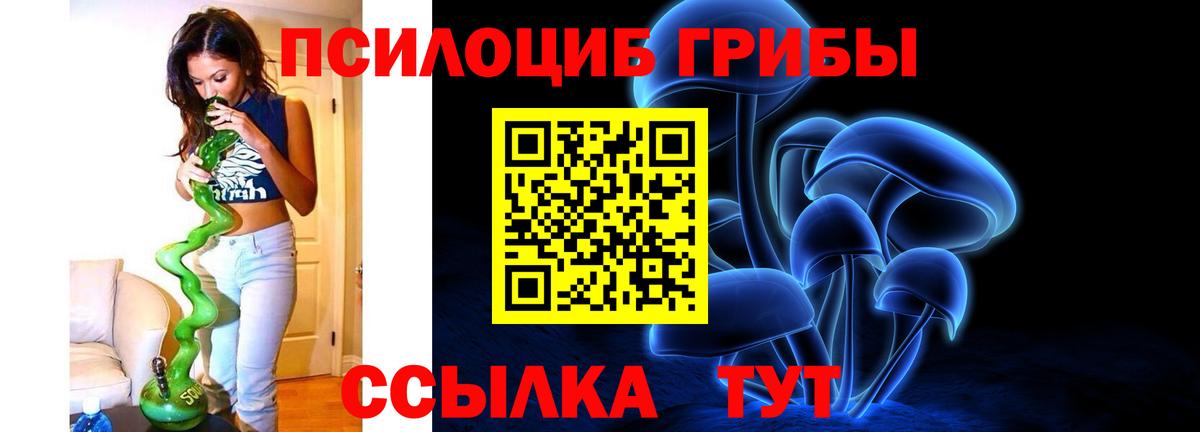 Галлюциногенные грибы GOLDEN TEACHER Воронеж